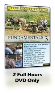 The dvd cover for dr henry's fundamentals 3.